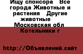 Ищу спонсора - Все города Животные и растения » Другие животные   . Московская обл.,Котельники г.